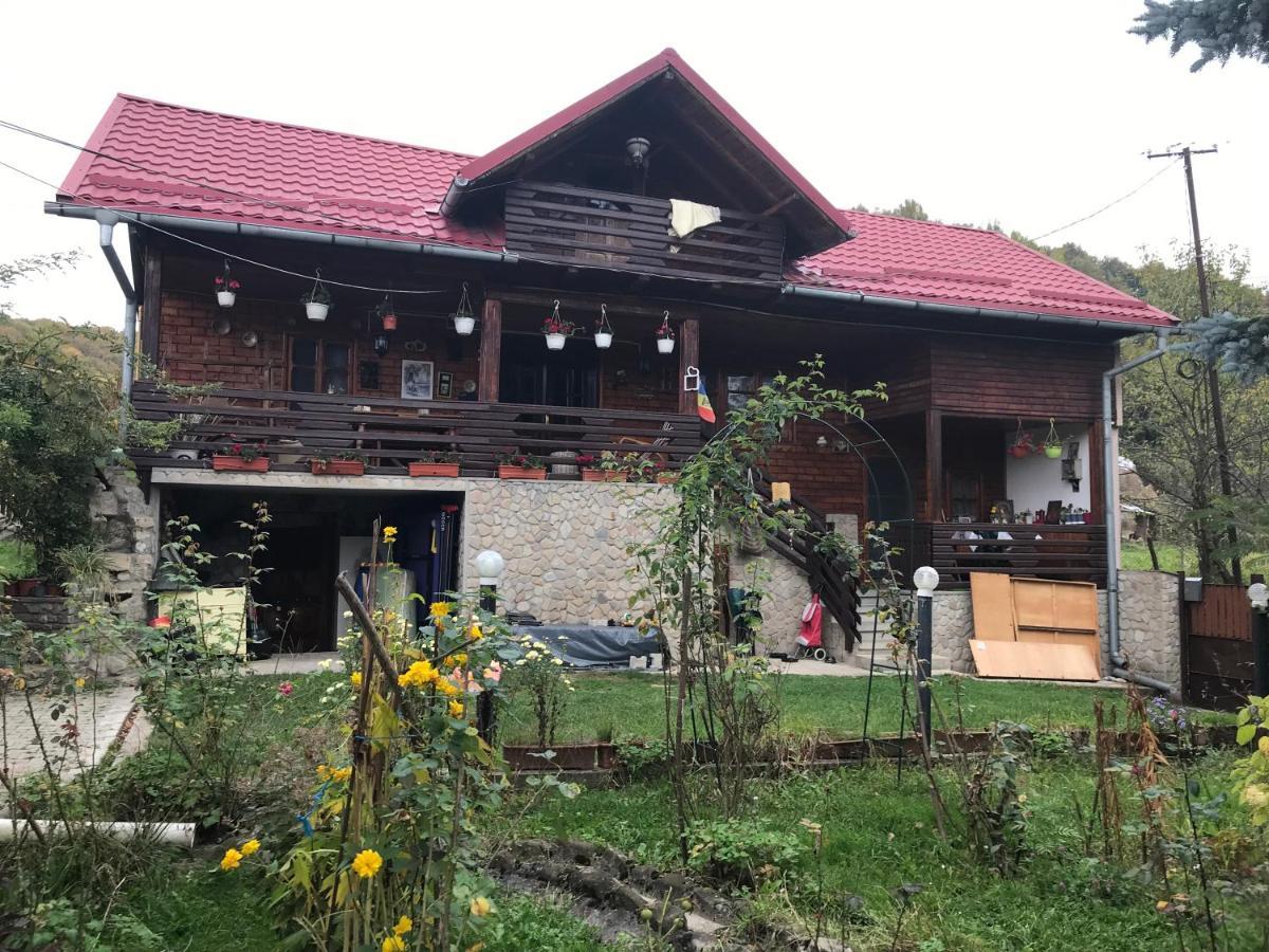Cabana Trei Brazi Dambovita Bezdead Exterior photo